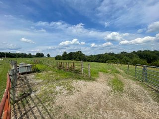 Property photo 55 - ABSOLUTE LAND AUCTION - 674+/- ACRES OFFERED IN 22 TRACTS IN HART COUNTY, KENTUCKY