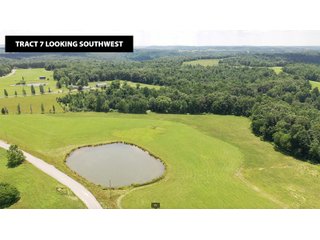 TRACT 7 LOOKING SOUTHWEST - ABSOLUTE LAND AUCTION - 674+/- ACRES OFFERED IN 22 TRACTS IN HART COUNTY, KENTUCKY