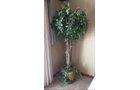 Property photo 132 - TIMED ONLINE ONLY - PERSONAL PROPERTY AUCTION IN ALLEN COUNTY, INDIANA