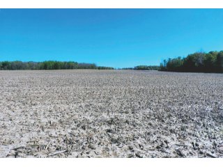 Property photo 17 - LAND AUCTION - 252+/- ACRES OFFERED IN 7 TRACTS IN CASS COUNTY, INDIANA