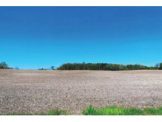 Property photo 18 - LAND AUCTION - 252+/- ACRES OFFERED IN 7 TRACTS IN CASS COUNTY, INDIANA