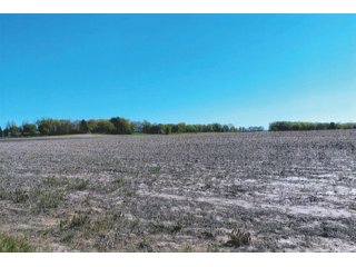 Property photo 19 - LAND AUCTION - 252+/- ACRES OFFERED IN 7 TRACTS IN CASS COUNTY, INDIANA