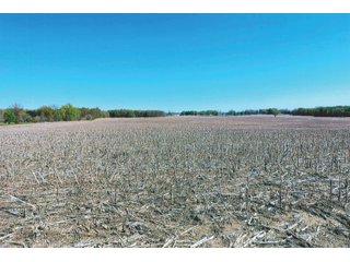Property photo 16 - LAND AUCTION - 252+/- ACRES OFFERED IN 7 TRACTS IN CASS COUNTY, INDIANA