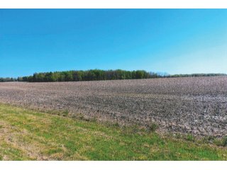 Property photo 22 - LAND AUCTION - 252+/- ACRES OFFERED IN 7 TRACTS IN CASS COUNTY, INDIANA