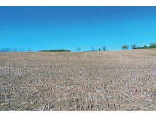 Property photo 23 - LAND AUCTION - 252+/- ACRES OFFERED IN 7 TRACTS IN CASS COUNTY, INDIANA