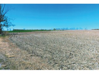 Property photo 24 - LAND AUCTION - 252+/- ACRES OFFERED IN 7 TRACTS IN CASS COUNTY, INDIANA