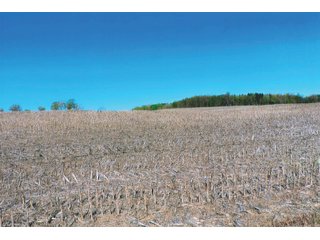 Property photo 25 - LAND AUCTION - 252+/- ACRES OFFERED IN 7 TRACTS IN CASS COUNTY, INDIANA