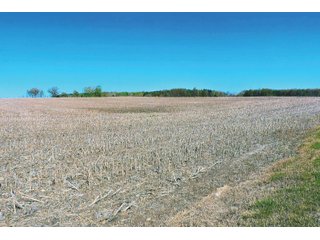Property photo 26 - LAND AUCTION - 252+/- ACRES OFFERED IN 7 TRACTS IN CASS COUNTY, INDIANA