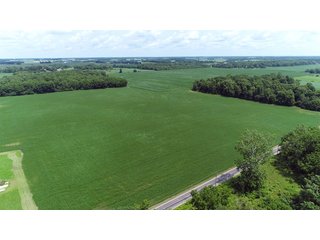 Property photo 6 - LAND AUCTION - 252+/- ACRES OFFERED IN 7 TRACTS IN CASS COUNTY, INDIANA