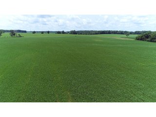 Property photo 3 - LAND AUCTION - 252+/- ACRES OFFERED IN 7 TRACTS IN CASS COUNTY, INDIANA