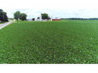Property photo 2 - LAND AUCTION - 252+/- ACRES OFFERED IN 7 TRACTS IN CASS COUNTY, INDIANA