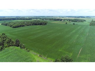 Property photo 14 - LAND AUCTION - 252+/- ACRES OFFERED IN 7 TRACTS IN CASS COUNTY, INDIANA