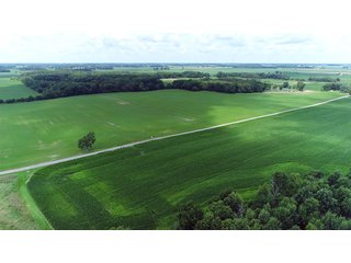 Property photo 12 - LAND AUCTION - 252+/- ACRES OFFERED IN 7 TRACTS IN CASS COUNTY, INDIANA