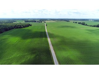 Property photo 11 - LAND AUCTION - 252+/- ACRES OFFERED IN 7 TRACTS IN CASS COUNTY, INDIANA