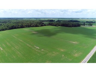 Property photo 10 - LAND AUCTION - 252+/- ACRES OFFERED IN 7 TRACTS IN CASS COUNTY, INDIANA
