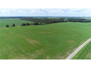 Property photo 9 - LAND AUCTION - 252+/- ACRES OFFERED IN 7 TRACTS IN CASS COUNTY, INDIANA