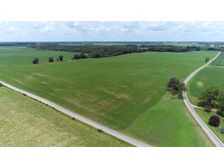 Property photo 8 - LAND AUCTION - 252+/- ACRES OFFERED IN 7 TRACTS IN CASS COUNTY, INDIANA