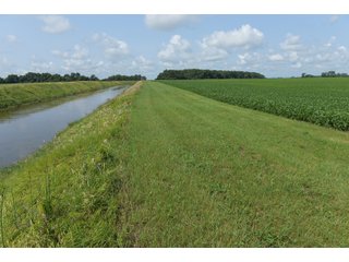 Property photo 44 - LAND AUCTION - 280.86+/- ACRES OFFERED IN 2 TRACTS IN WHITE COUNTY, INDIANA