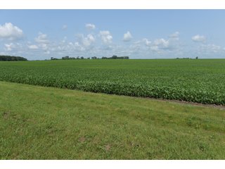 Property photo 34 - LAND AUCTION - 280.86+/- ACRES OFFERED IN 2 TRACTS IN WHITE COUNTY, INDIANA