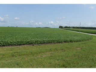 Property photo 43 - LAND AUCTION - 280.86+/- ACRES OFFERED IN 2 TRACTS IN WHITE COUNTY, INDIANA