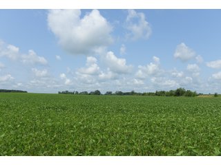 Property photo 37 - LAND AUCTION - 280.86+/- ACRES OFFERED IN 2 TRACTS IN WHITE COUNTY, INDIANA