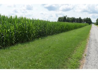 Property photo 39 - LAND AUCTION - 280.86+/- ACRES OFFERED IN 2 TRACTS IN WHITE COUNTY, INDIANA