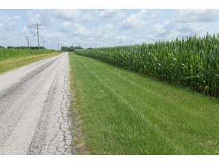 Property photo 41 - LAND AUCTION - 280.86+/- ACRES OFFERED IN 2 TRACTS IN WHITE COUNTY, INDIANA