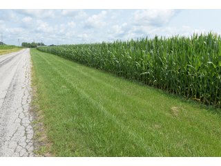 Property photo 42 - LAND AUCTION - 280.86+/- ACRES OFFERED IN 2 TRACTS IN WHITE COUNTY, INDIANA