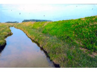 Property photo 30 - LAND AUCTION - 280.86+/- ACRES OFFERED IN 2 TRACTS IN WHITE COUNTY, INDIANA
