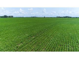 Property photo 13 - LAND AUCTION - 280.86+/- ACRES OFFERED IN 2 TRACTS IN WHITE COUNTY, INDIANA