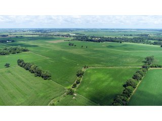 Property photo 10 - LAND AUCTION - 280.86+/- ACRES OFFERED IN 2 TRACTS IN WHITE COUNTY, INDIANA
