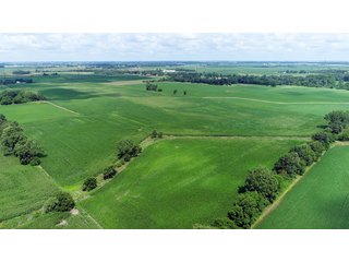 Property photo 9 - LAND AUCTION - 280.86+/- ACRES OFFERED IN 2 TRACTS IN WHITE COUNTY, INDIANA
