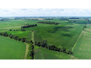 Property photo 8 - LAND AUCTION - 280.86+/- ACRES OFFERED IN 2 TRACTS IN WHITE COUNTY, INDIANA