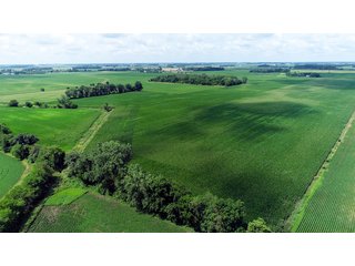 Property photo 7 - LAND AUCTION - 280.86+/- ACRES OFFERED IN 2 TRACTS IN WHITE COUNTY, INDIANA