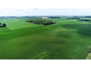 Property photo 6 - LAND AUCTION - 280.86+/- ACRES OFFERED IN 2 TRACTS IN WHITE COUNTY, INDIANA