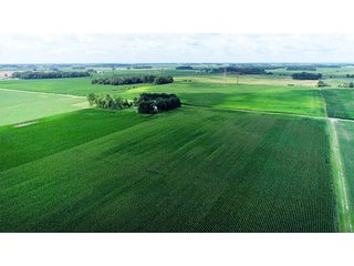 Property photo 5 - LAND AUCTION - 280.86+/- ACRES OFFERED IN 2 TRACTS IN WHITE COUNTY, INDIANA