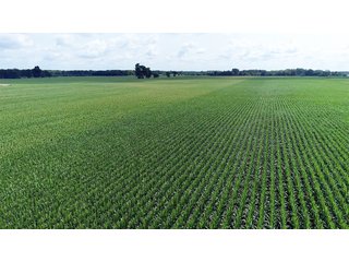 Property photo 3 - LAND AUCTION - 280.86+/- ACRES OFFERED IN 2 TRACTS IN WHITE COUNTY, INDIANA