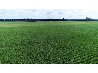 Property photo 2 - LAND AUCTION - 280.86+/- ACRES OFFERED IN 2 TRACTS IN WHITE COUNTY, INDIANA
