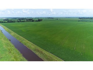 Property photo 19 - LAND AUCTION - 280.86+/- ACRES OFFERED IN 2 TRACTS IN WHITE COUNTY, INDIANA