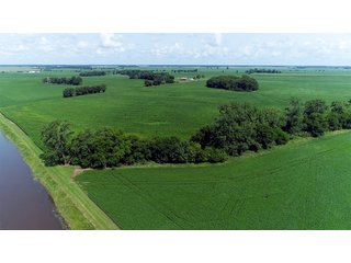 Property photo 18 - LAND AUCTION - 280.86+/- ACRES OFFERED IN 2 TRACTS IN WHITE COUNTY, INDIANA
