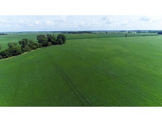 Property photo 17 - LAND AUCTION - 280.86+/- ACRES OFFERED IN 2 TRACTS IN WHITE COUNTY, INDIANA