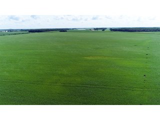 Property photo 16 - LAND AUCTION - 280.86+/- ACRES OFFERED IN 2 TRACTS IN WHITE COUNTY, INDIANA