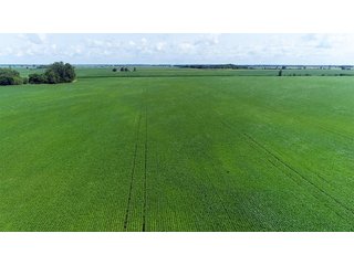 Property photo 15 - LAND AUCTION - 280.86+/- ACRES OFFERED IN 2 TRACTS IN WHITE COUNTY, INDIANA