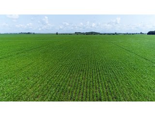 Property photo 14 - LAND AUCTION - 280.86+/- ACRES OFFERED IN 2 TRACTS IN WHITE COUNTY, INDIANA