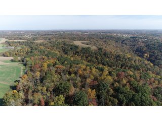 Property photo 28 - LAND AUCTION - 513+/- ACRES OFFERED IN 17 TRACTS IN MORGAN AND WASHINGTON COUNTY, OHIO