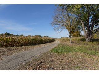 Property photo 45 - LAND AUCTION - 513+/- ACRES OFFERED IN 17 TRACTS IN MORGAN AND WASHINGTON COUNTY, OHIO