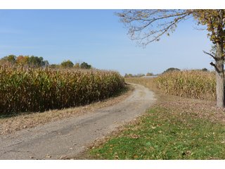 Property photo 46 - LAND AUCTION - 513+/- ACRES OFFERED IN 17 TRACTS IN MORGAN AND WASHINGTON COUNTY, OHIO
