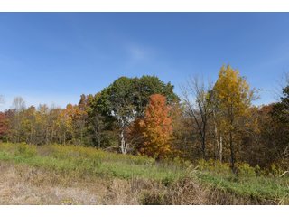 Property photo 49 - LAND AUCTION - 513+/- ACRES OFFERED IN 17 TRACTS IN MORGAN AND WASHINGTON COUNTY, OHIO