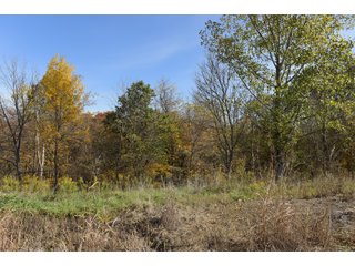 Property photo 50 - LAND AUCTION - 513+/- ACRES OFFERED IN 17 TRACTS IN MORGAN AND WASHINGTON COUNTY, OHIO