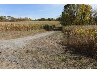 Property photo 53 - LAND AUCTION - 513+/- ACRES OFFERED IN 17 TRACTS IN MORGAN AND WASHINGTON COUNTY, OHIO